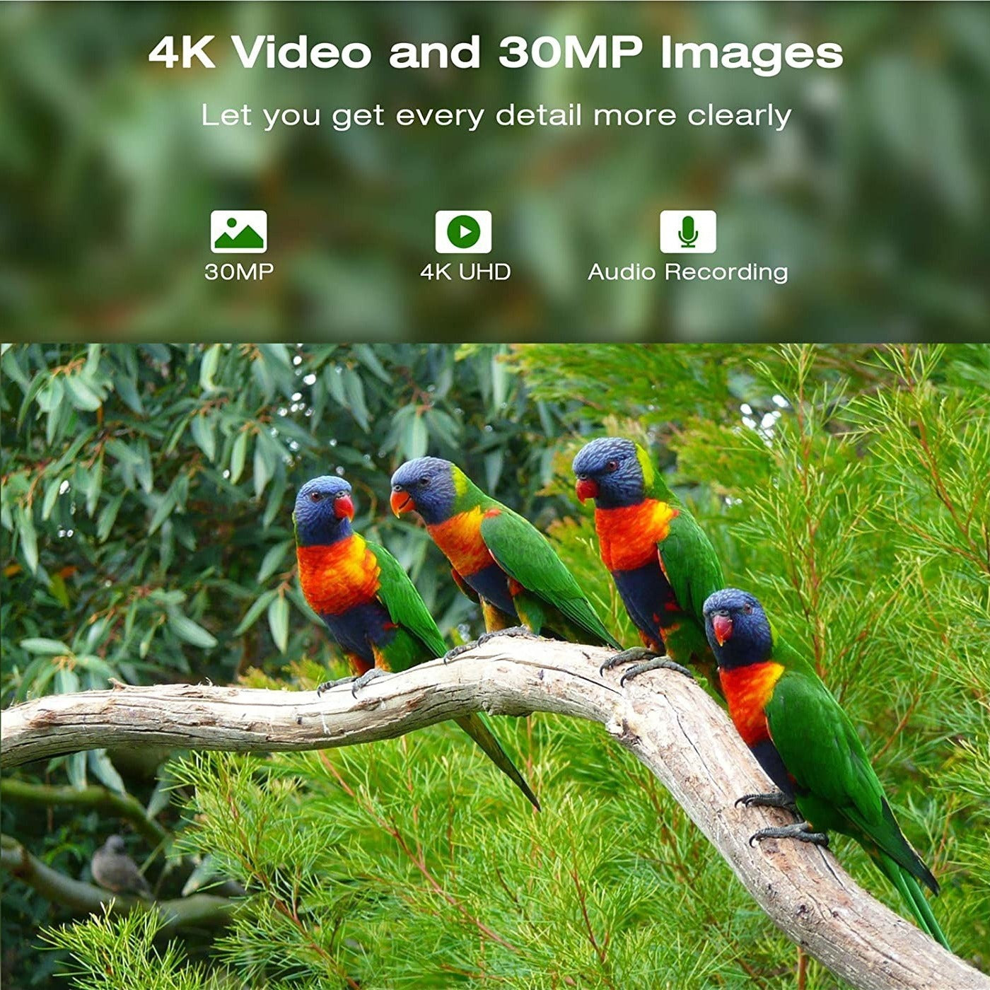 4G outdoor hunting camera with APP remote control