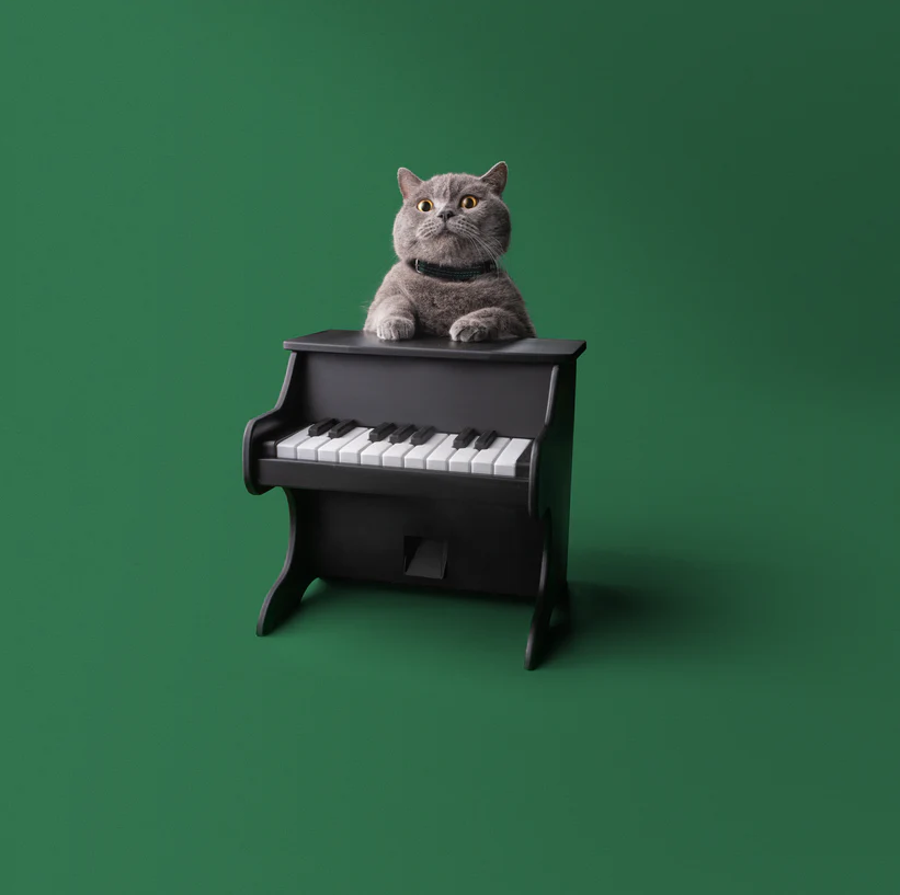 PET PIANO